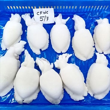 JM Marine Sea Food Exports Cuttle Fish Whole Cleaned