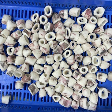 JM Marine Sea Food Exports Skin on cut squid IQF